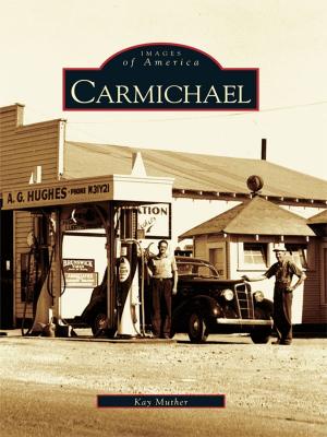Cover of the book Carmichael by Donna Strother Deekens