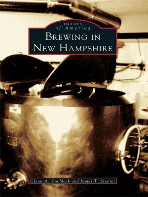 Cover of the book Brewing in New Hampshire by Barrington Preservation Society