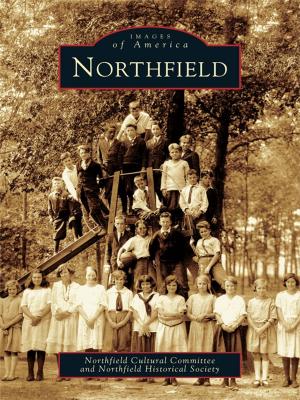 Cover of the book Northfield by Stephen Kelley