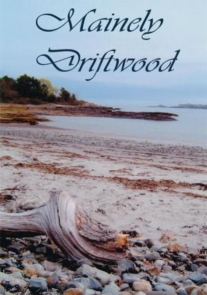 Cover of the book Mainely Driftwood by David Willcox