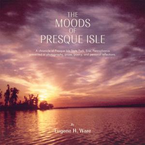 Cover of the book The Moods of Presque Isle by Willem Blees