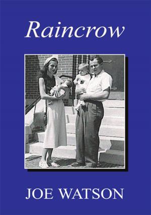 Cover of the book Raincrow by Lemuel