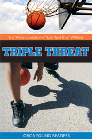 Cover of the book Triple Threat by Michelle Mulder