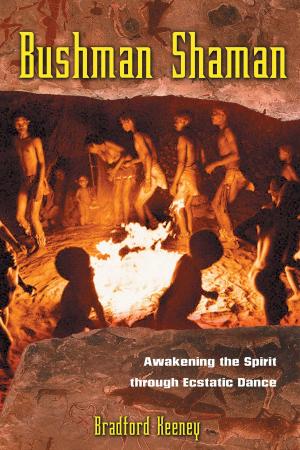 Cover of the book Bushman Shaman by Ann L. Sittig, Martha Florinda González