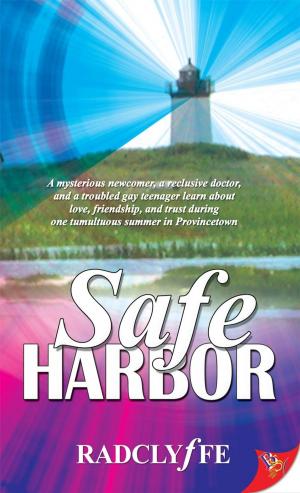 Cover of the book Safe Harbor by Kimberly Menozzi