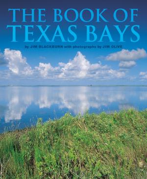 Cover of the book The Book of Texas Bays by Janet Williams Pollard, Louis Gwin