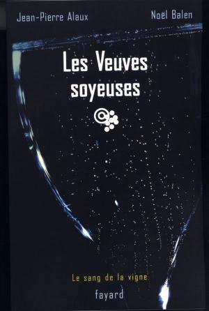 Cover of the book Les Veuves soyeuses by Erik Orsenna, Thierry Arnoult