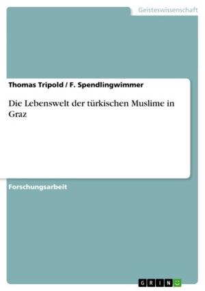 Cover of the book Die Lebenswelt der türkischen Muslime in Graz by Alona Gordeew