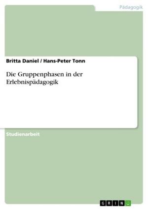 Cover of the book Die Gruppenphasen in der Erlebnispädagogik by Christine Schmidt