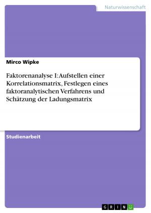 Cover of the book Faktorenanalyse I: Aufstellen einer Korrelationsmatrix, Festlegen eines faktoranalytischen Verfahrens und Schätzung der Ladungsmatrix by Julia Burg