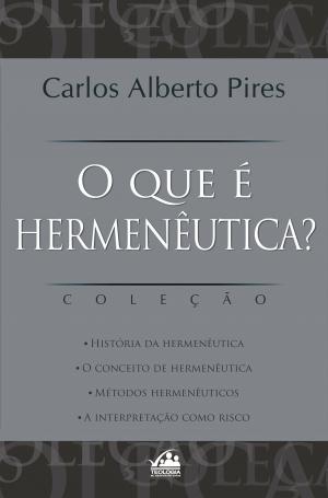 Cover of the book O que é Hermenêutica? by Léa Mendonça