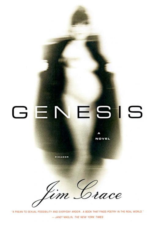 Cover of the book Genesis by Jim Crace, Farrar, Straus and Giroux