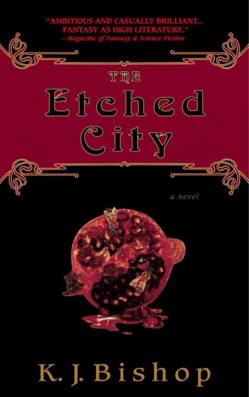 Cover of the book The Etched City by K.J. Bishop, Random House Publishing Group