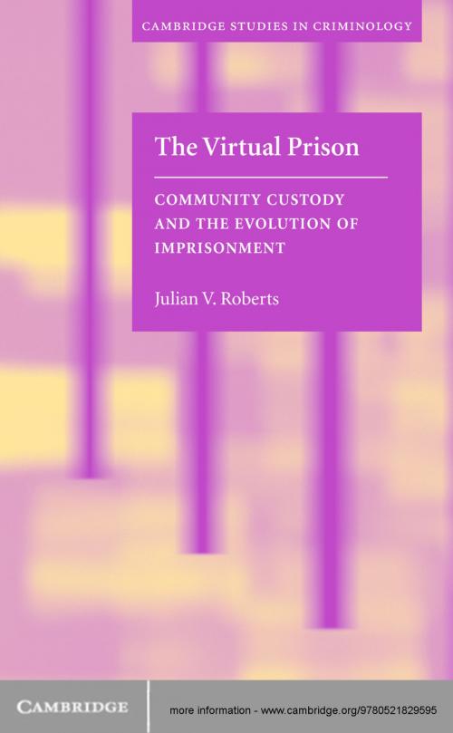 Cover of the book The Virtual Prison by Julian V. Roberts, Cambridge University Press