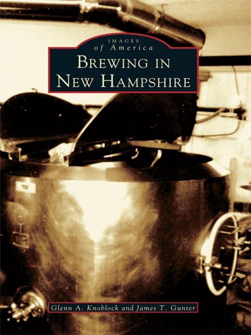 Cover of the book Brewing in New Hampshire by Glenn A. Knoblock, James T. Gunter, Arcadia Publishing Inc.