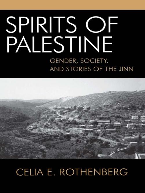 Cover of the book Spirits of Palestine by Celia E. Rothenberg, Lexington Books