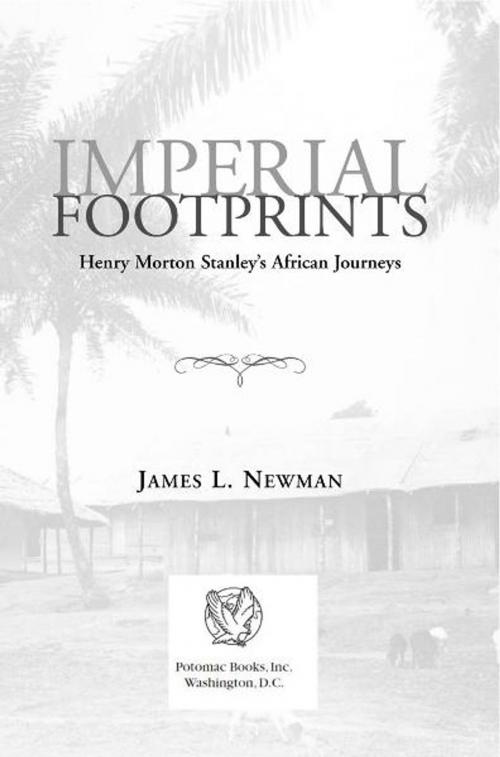 Cover of the book Imperial Footprints by James L. Newman, Potomac Books Inc.