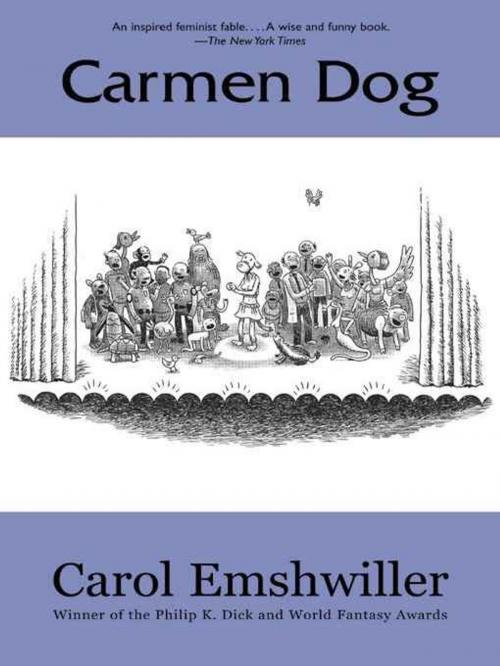 Cover of the book Carmen Dog by Carol Emshwiller, Small Beer Press