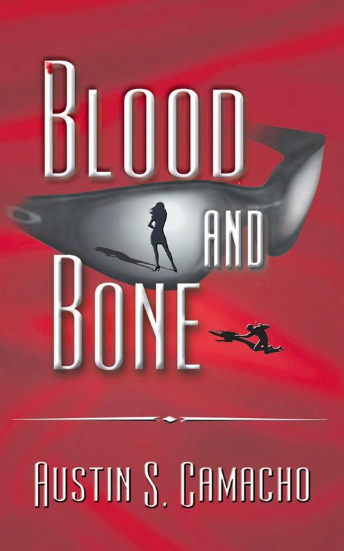 Cover of the book Blood and Bone by Austin S. Camacho, Intrigue Publishing LLC