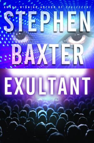 Cover of the book Exultant by Elizabeth Guizzetti