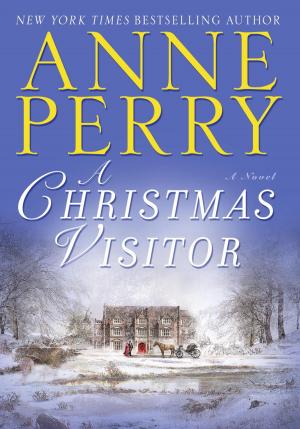 Cover of the book A Christmas Visitor by Karen Robinovitz, Melissa de la Cruz