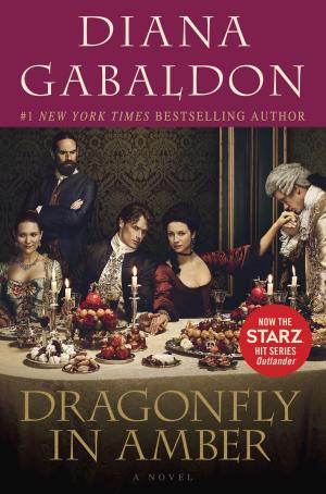 Book cover of Dragonfly in Amber