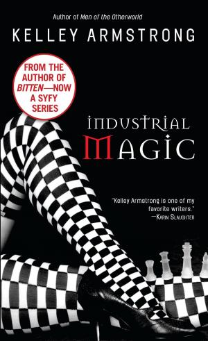 Book cover of Industrial Magic
