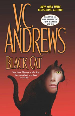 Cover of the book Black Cat by Andrew Neiderman