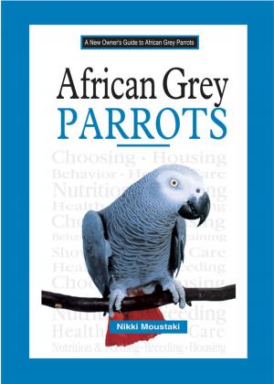 Cover of the book African Grey Parrots by E.J. Pirog