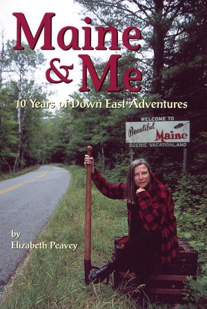 Cover of the book Maine & Me by Dan Tobyne