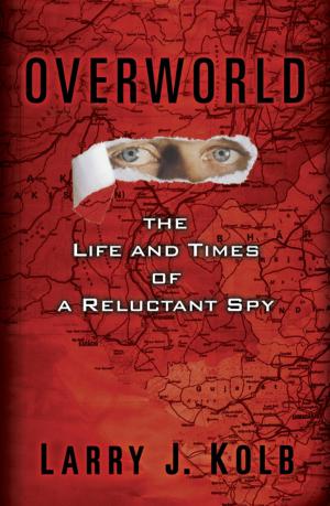 Cover of the book Overworld by Sue Henry