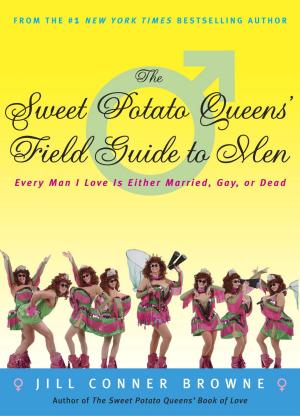 Book cover of The Sweet Potato Queens' Field Guide to Men
