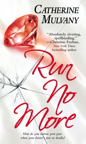 Cover of the book Run No More by Scott Everett Bronson