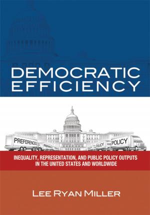 Cover of the book Democratic Efficiency by Rachael A. Keyser