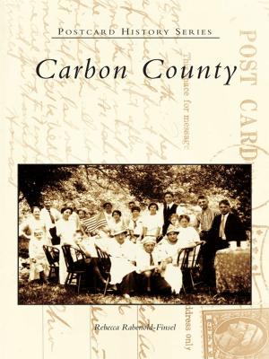 Cover of the book Carbon County by Dave Shampine, Daniel T. Boyer