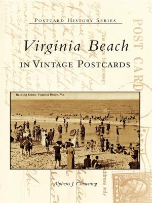 Cover of the book Virginia Beach in Vintage Postcards by Rory O'Neill Schmitt, Rosary Hartel O'Neill