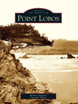 Cover of the book Point Lobos by Kelly Mathews