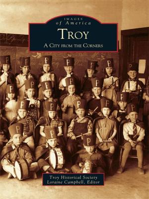 Cover of the book Troy by Louis Van Camp