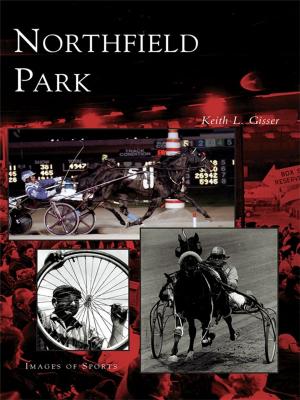 Cover of the book Northfield Park by Pat Jollota