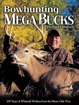 Cover of the book Bowhunting Mega Bucks by Alijandra Mogilner