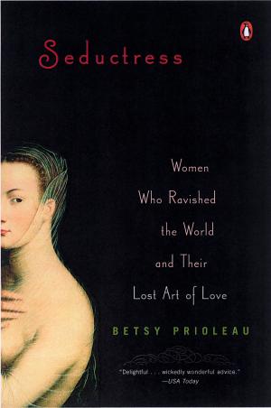 Cover of the book Seductress by Justin A. Frank