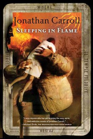 Cover of the book Sleeping in Flame by Juliet Marillier