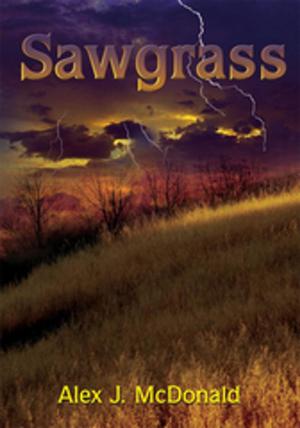 Cover of the book Sawgrass by Steven E. Winters