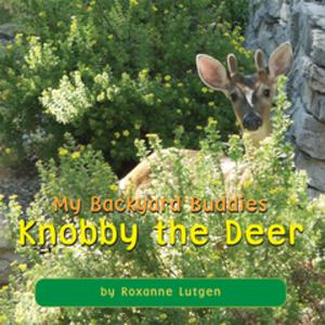 Cover of the book My Backyard Buddies by Bowdoin
