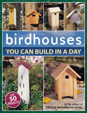 Cover of the book Birdhouses You Can Build in a Day by Mary Jane Mucklestone