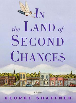 Cover of the book In the Land of Second Chances by Sara C. Mednick, PhD, Mark Ehrman, PhD