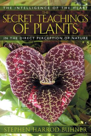 Book cover of The Secret Teachings of Plants