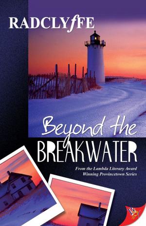 Cover of the book Beyond the Breakwater by Devin Rice