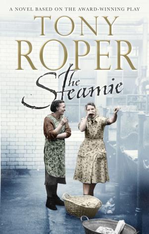 Cover of the book The Steamie by Ian Black