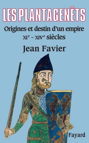 Book cover of Les Plantagenêts